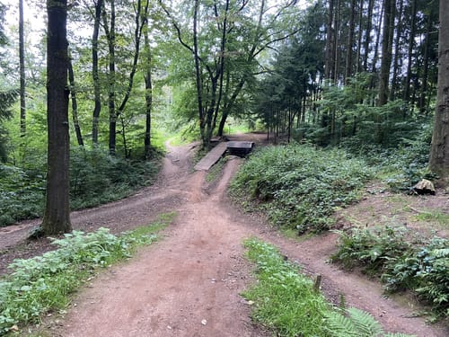 Flowtrail Ottweiler 