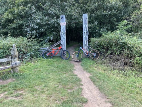 Steinbachpfad (Premiumwanderweg)
