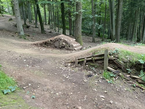 Flowtrail Ottweiler 