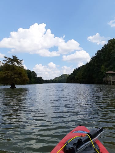 Best Hikes and Trails in Maumelle Park | AllTrails