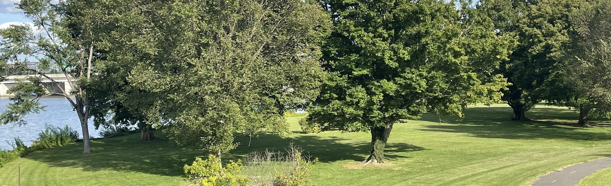 Mount Vernon Trail Gravelly Point - EyJidWNrZXQiOiJhc3NldHMuYWxsdHJhaWxzLmNvbSIsImtleSI6InVwbG9hZHMvcGhvdG8vaW1hZ2UvNDA3NzU4OTIvYjBiODg5NjA3MGU5ODlkODViYjUwZWRhNzBjOGNmY2EuanBnIiwiZWRpdHMiOnsidG9Gb3JtYXQiOiJqcGVnIiwicmVzaXplIjp7IndpZHRoIjoyMDQ0LCJoZWlnaHQiOjYyNCwiZml0IjoiY292ZXIifSwicm90YXRlIjpudWxsLCJqcGVnIjp7InRyZWxsaXNRdWFudGlzYXRpb24iOnRydWUsIm92ZXJzaG9vdERlcmluZ2luZyI6dHJ1ZSwib3B0aW1pc2VTY2FucyI6dHJ1ZSwicXVhbnRpc2F0aW9uVGFibGUiOjN9fX0=