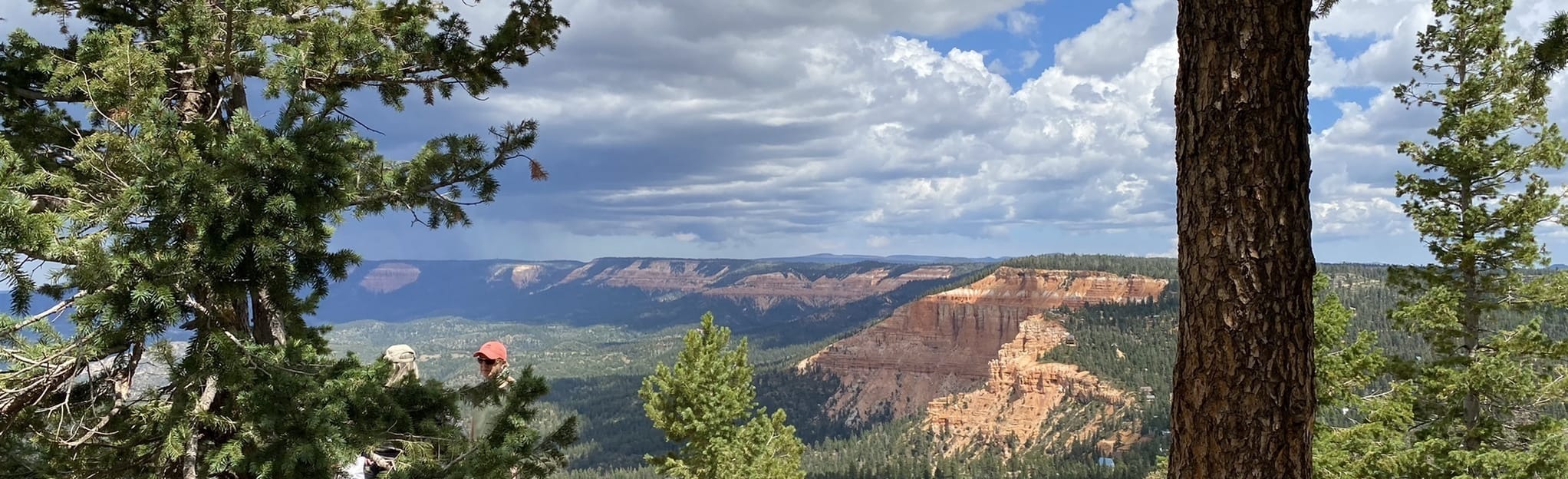 Strawberry Point, Utah 66 Reviews, Map AllTrails