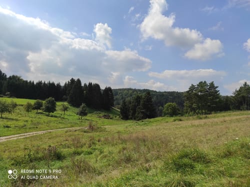 Rundwanderweg Nr.4: Rund uma dum Breitenbrunn
