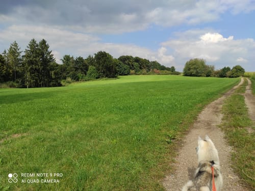 Rundwanderweg Nr.4: Rund uma dum Breitenbrunn