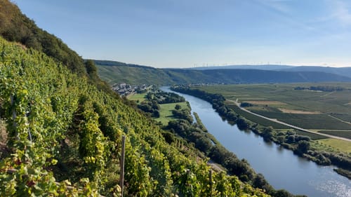 Thoernicher Ritsch