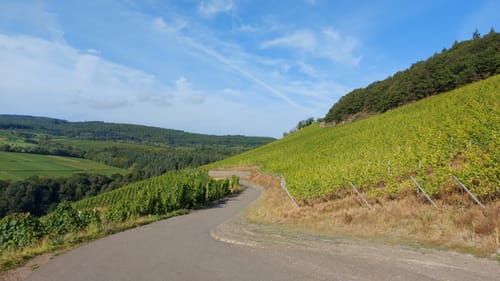 Thoernicher Ritsch