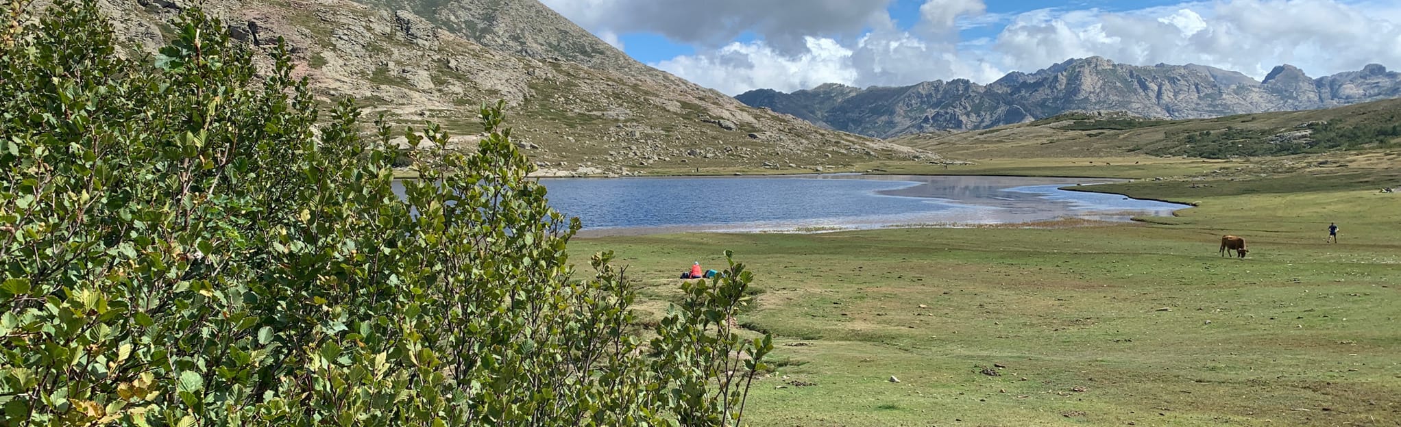 Bergerie de Grotelle Col de Vergio Map, Guide HauteCorse, France