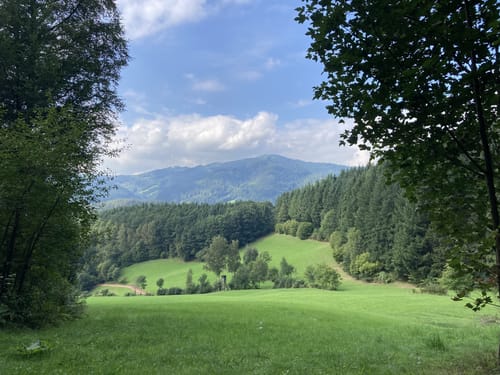 Gutach Rundweg