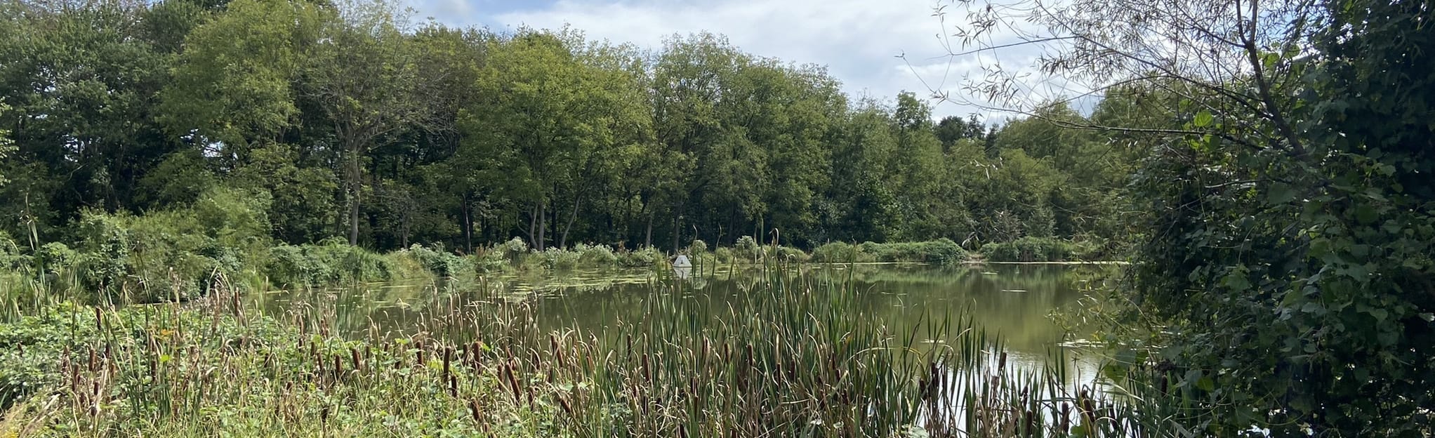 Goddard Park West Grove 73 Reviews, Map Pennsylvania AllTrails