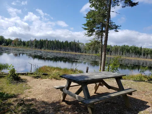 Mactaquac Provincial Park de beste routes om te wandelen AllTrails