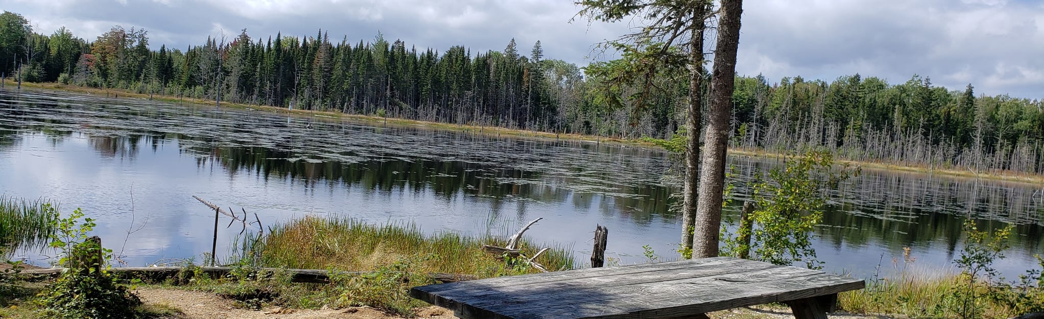 Alex Creek via Scotch Lake Road, New Brunswick, Canada 17 Reviews