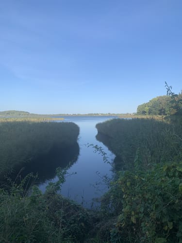 Wackerballig - Nordschau-Wald