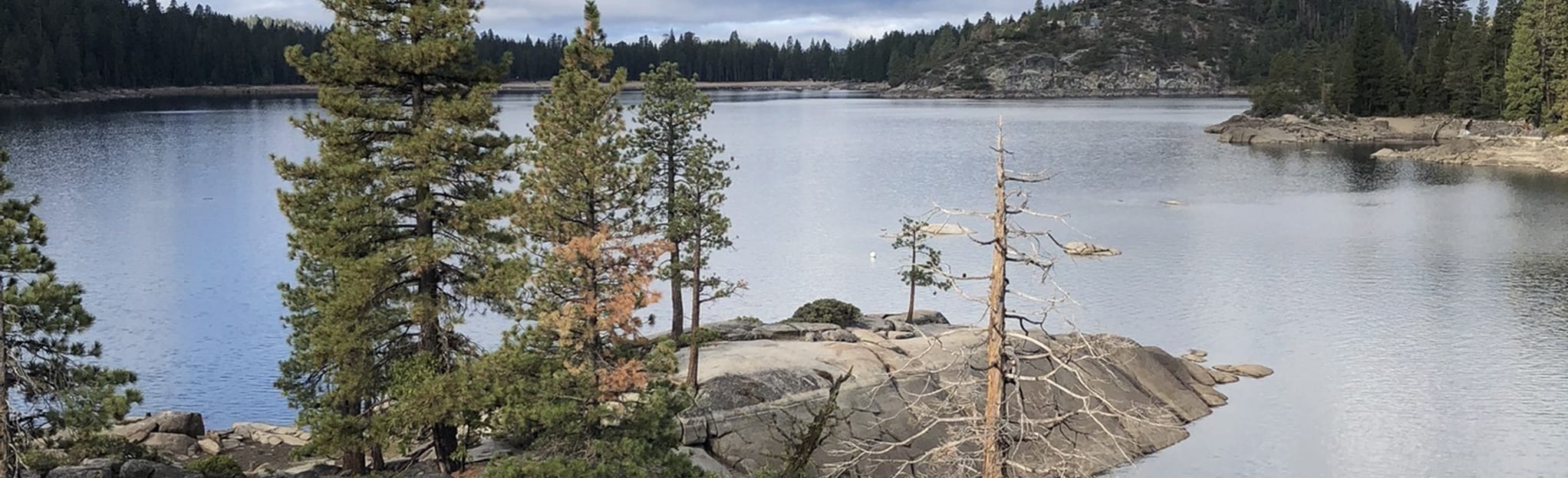 Pinecrest Lake Loop, California 1,266 Reviews, Map AllTrails