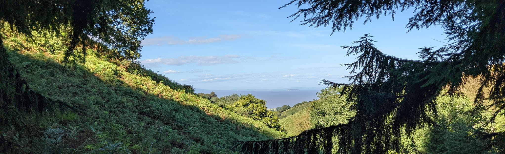 Hodder's Combe and Round Hill Circular, Somerset, England 40 Reviews