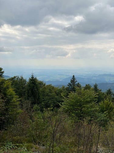 Goldsteig Südroute Etappe 13: Wiesenfelden - Haunkenzell