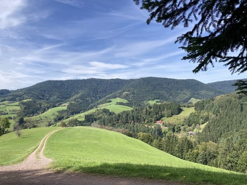 Riersbach - Hark