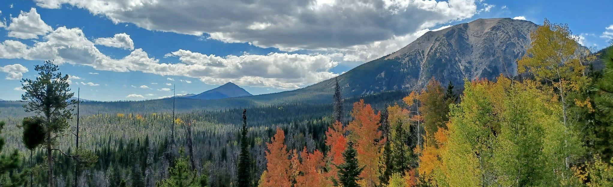 Willow Creek Loop via the Gore Range Trail, Colorado 997 Reviews, Map