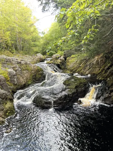 Best Hikes and Trails in Annapolis Valley Region | AllTrails