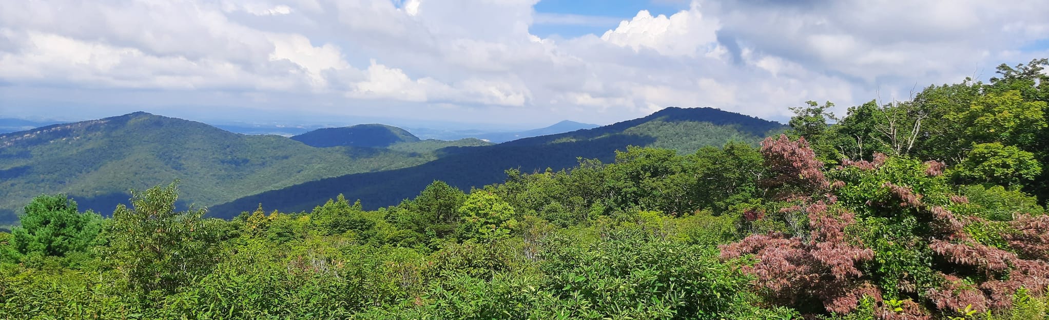 Big Run Portal Trail, 343 Photos - Virginia | AllTrails