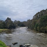 Galatea Point & Dights Falls Loop, Victoria, Australia - 244 Reviews ...