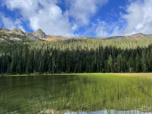 Okanogan-Wenatchee National Forest - Home