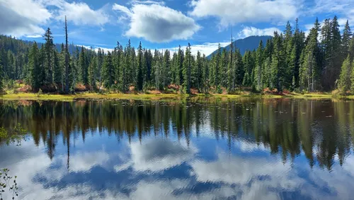 Best 10 Hiking Trails in Strathcona Provincial Park | AllTrails