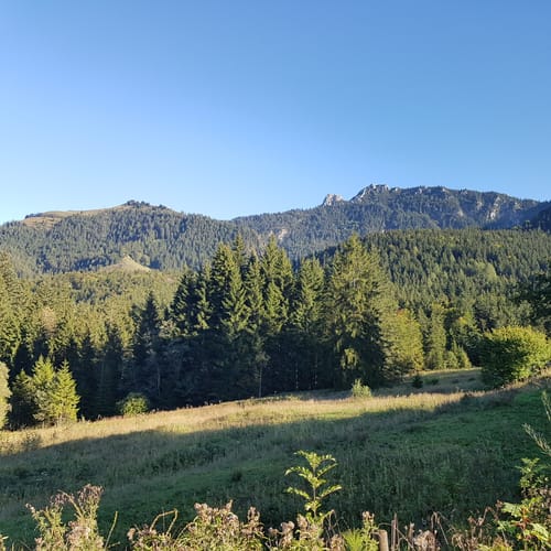 Hochsalwand vom Jenbachtal