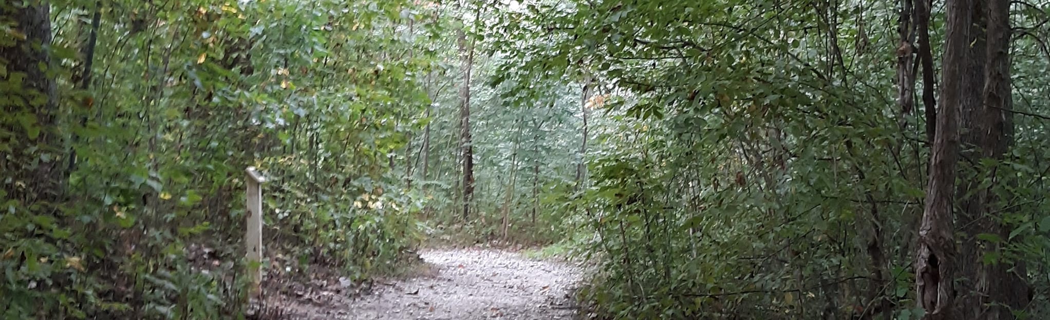 Drummonds Nature Trail, Tennessee 14 Reviews, Map AllTrails