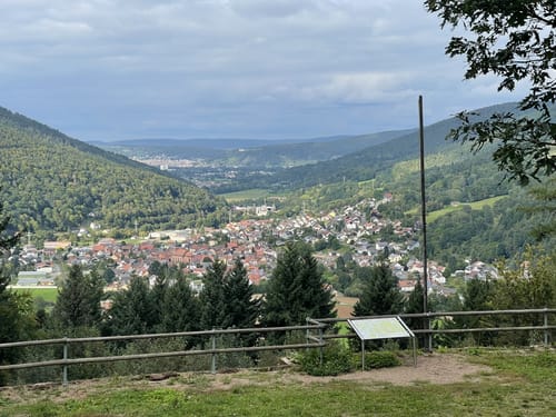 Amorbacher Waldromantikweg (A9)