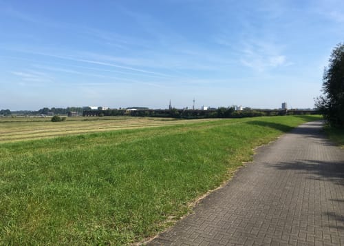 Auesee und Rheinauen (Route 7)