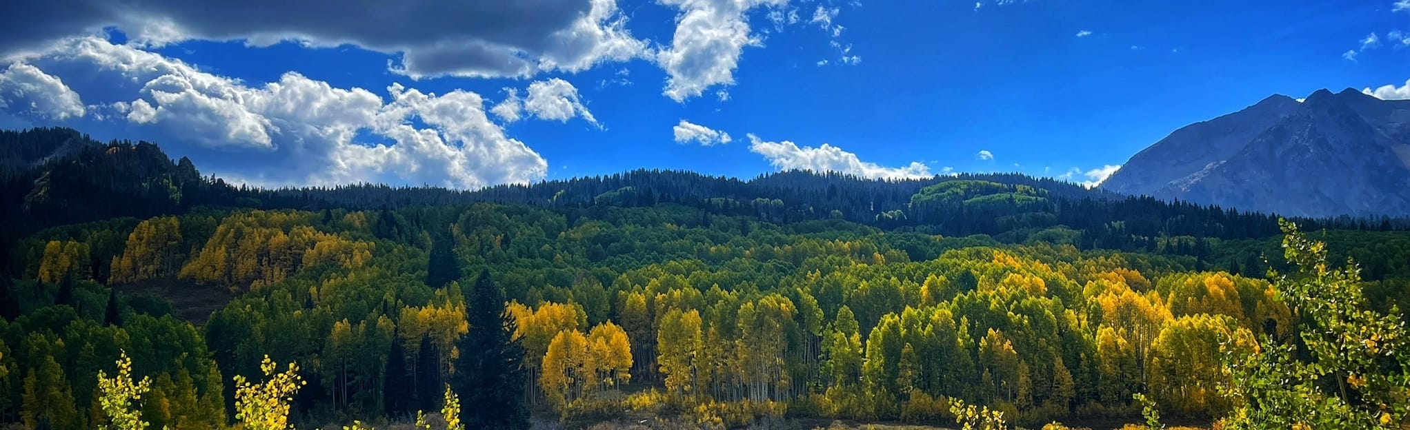 Kebler Pass Road: 82 Reviews, Map - Colorado | AllTrails