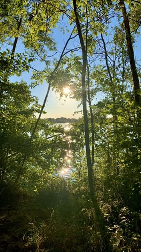 Rund um den Kronthaler Weiher