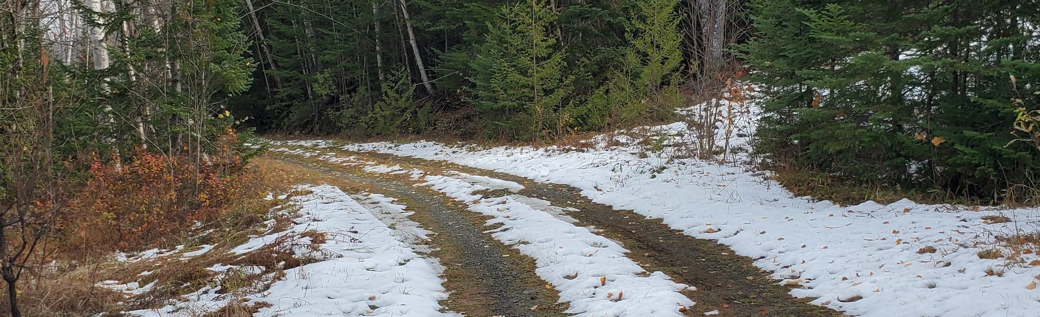 Tote Road and Crosscut Loop, Maine 13 Reviews, Map AllTrails