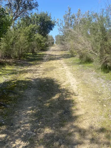 Best Hikes and Trails in Jandakot Regional Park | AllTrails