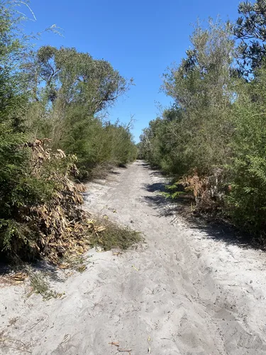 Best Hikes and Trails in Jandakot Regional Park | AllTrails