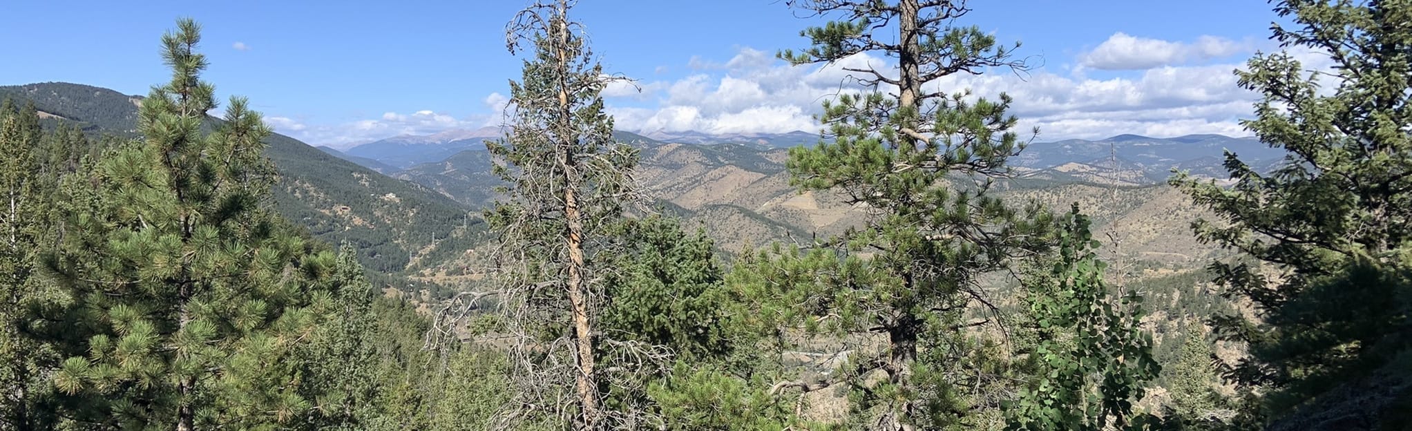 Floyd Hill Outer Limits Trail 94 Reviews, Map Colorado AllTrails