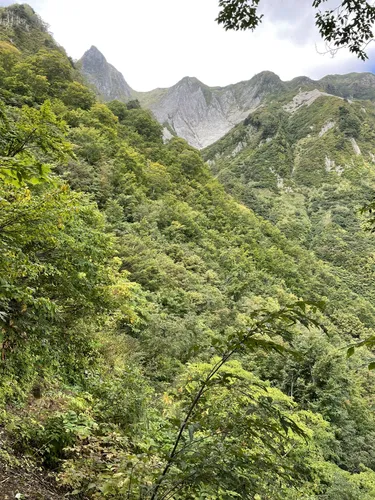 その他 old mountain MKG mosco kezuru garaireru mkg - OLD MOUNTAIN OFFICIAL