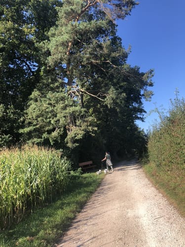 Gräbelsweg