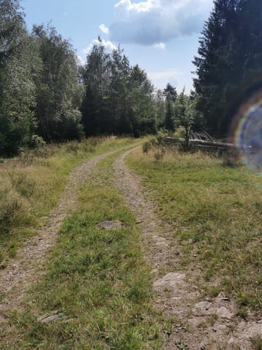 Rund herum um die Gemündener Höhe