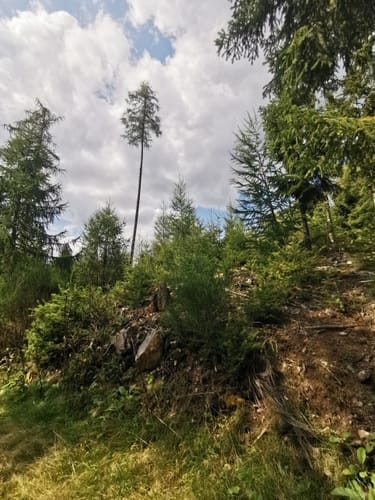 Rund herum um die Gemündener Höhe