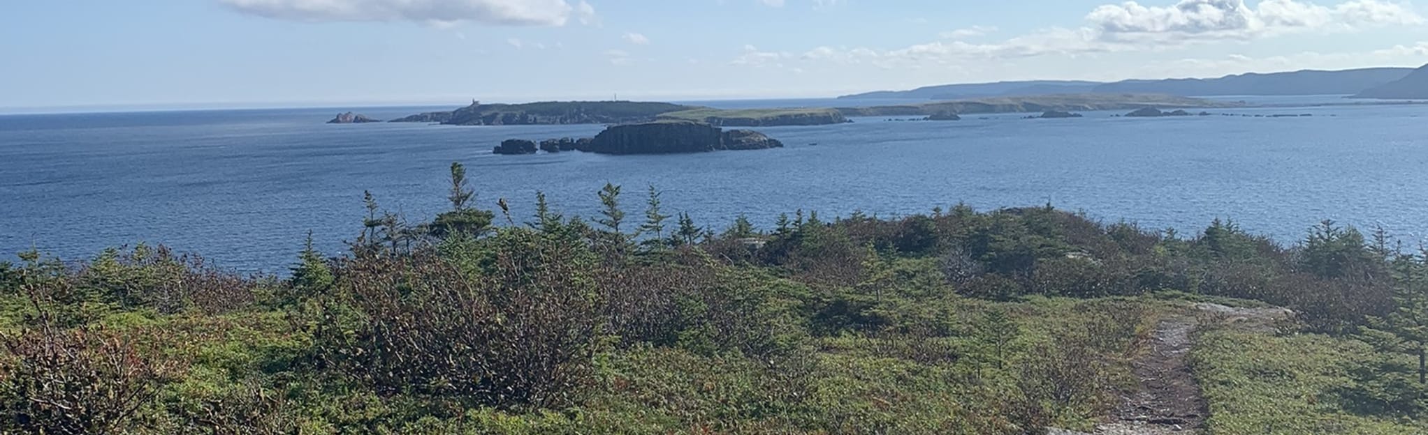Cape Broyle Head Path, Newfoundland and Labrador, Canada 47 Reviews, Map AllTrails