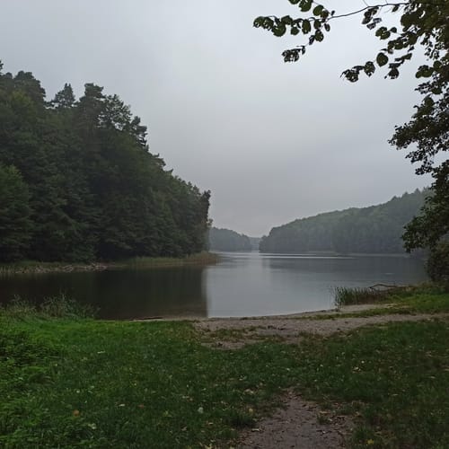 Um den Gamensee