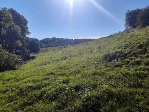 Eifelsteig Etappe 1: Kornelimünster - Roetgen
