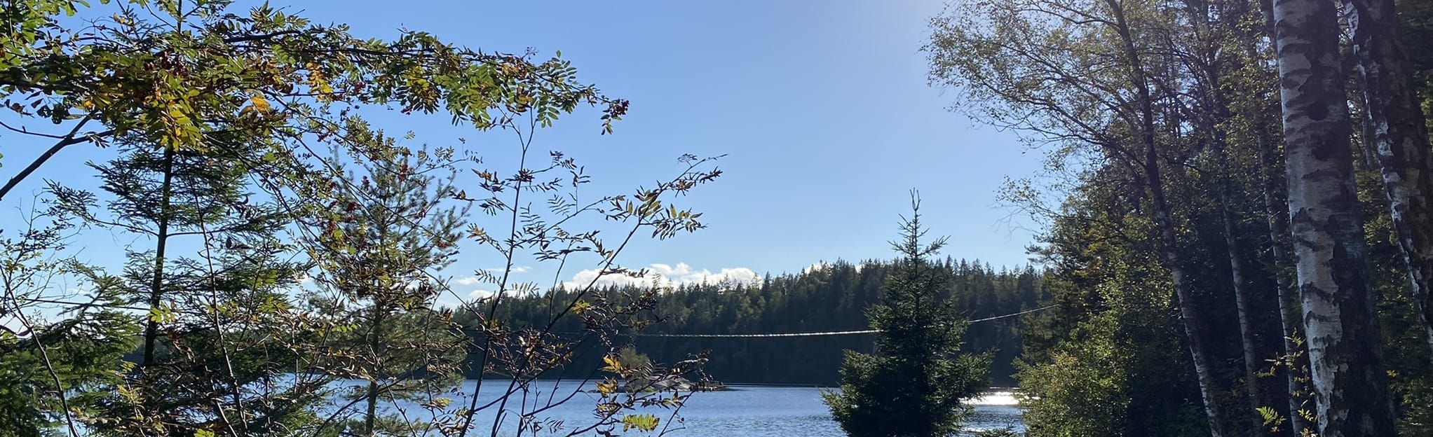 In Härskogen: 5 Reviews, Map - Västra Götaland, Sweden | AllTrails