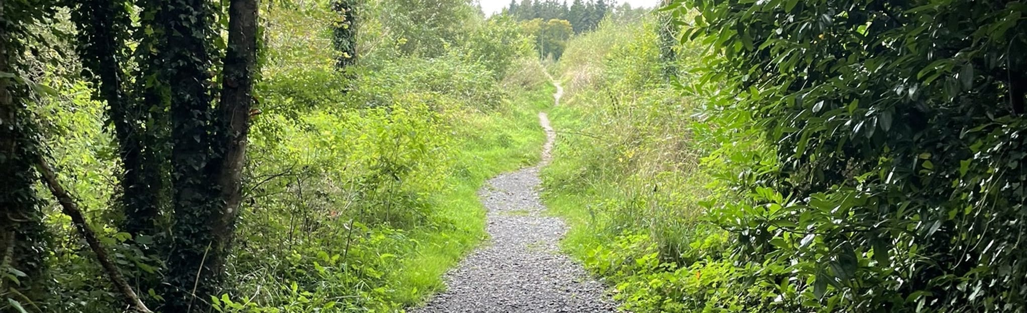 Lords Walk Loop Abbeyleix, County Laois, Ireland 8 Reviews, Map