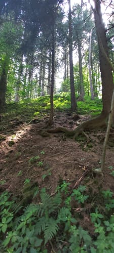 Rundweg Hamelspringe