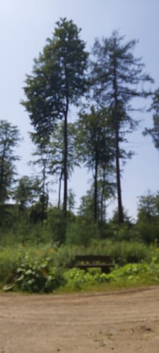 Rundweg Hamelspringe