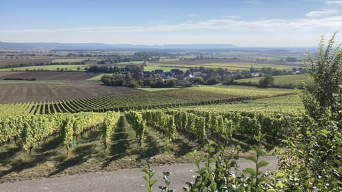 Rundweg Michelau M1