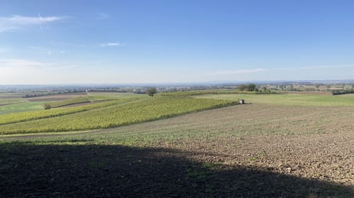 Rundweg Michelau M1