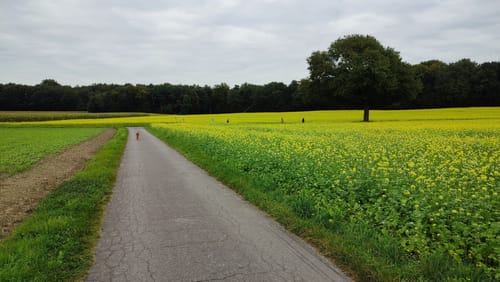 Lünzumer Mark Rundweg A9